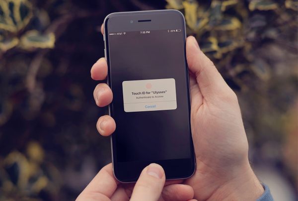 Protect Your Ulysses Text Library with Touch ID or a Password